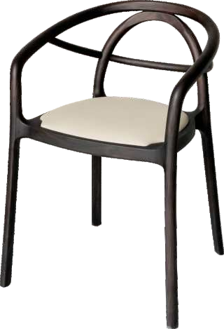 Modern Minimalist Luxury Designer Dining Chairs Restaurant Wood Chairs Home Leisure Hotel Armchair