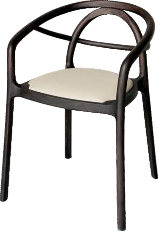 Modern Minimalist Luxury Designer Dining Chairs Restaurant Wood Chairs Home Leisure Hotel Armchair